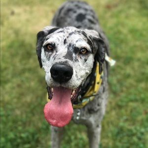 Meet your Posher, Kylie